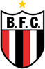 Botafogo Futebol Clube (Ribeirão Preto) – Wikipédia, a enciclopédia livre